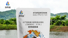 4月份需要重點關注的水產養殖疾病
