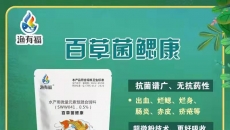 草魚老三病的防治措施，你知道嗎？