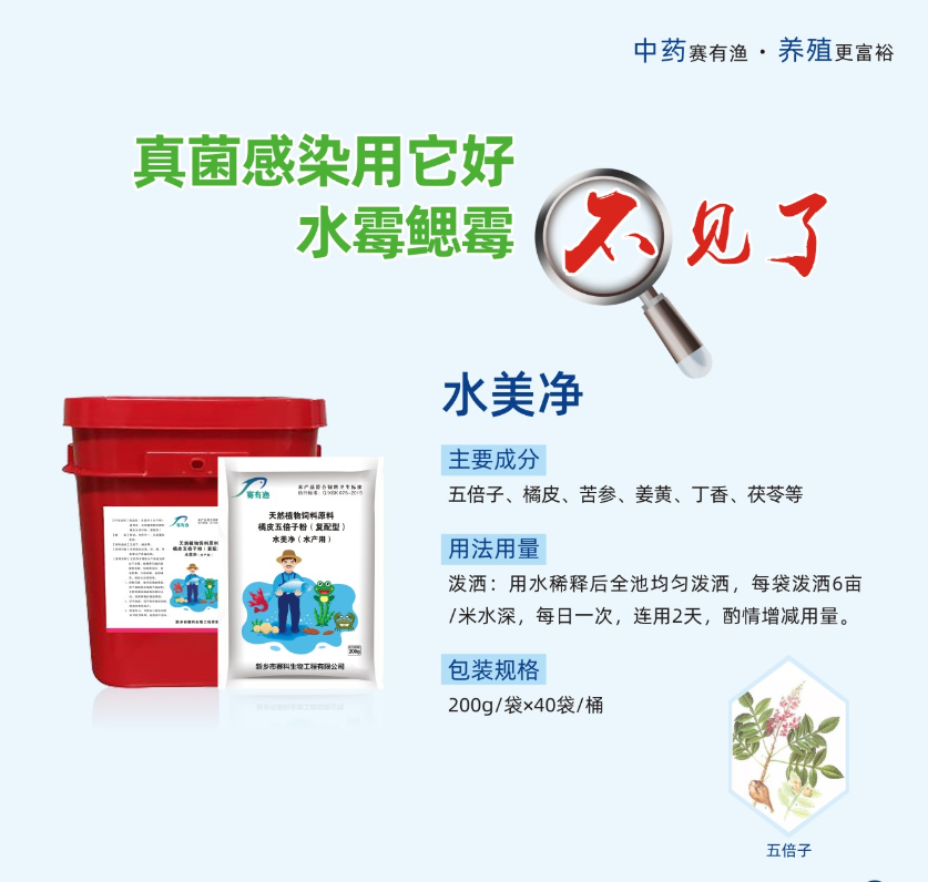 春季水產(chǎn)養(yǎng)殖水霉病的特點(diǎn)與防治