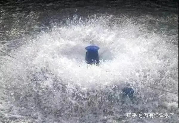 天氣轉涼，亞硝酸鹽超標怎么辦？3招教你穩定投料