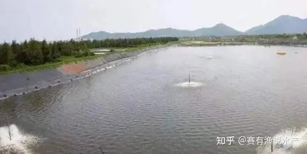 魚類越冬后大量爆發(fā)死亡？做好越冬期管理是預(yù)防的保證